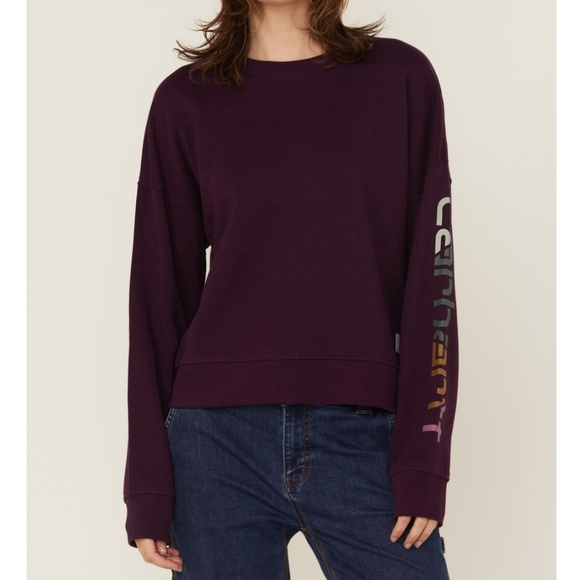 Carhartt TENCEL Fiber Series Loose Fit Sleeve Graphic Sweatshirt Size Meduim - Picture 1 of 11